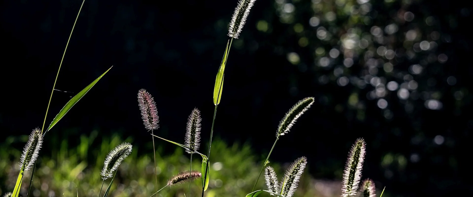问鼎娱乐娱乐平台